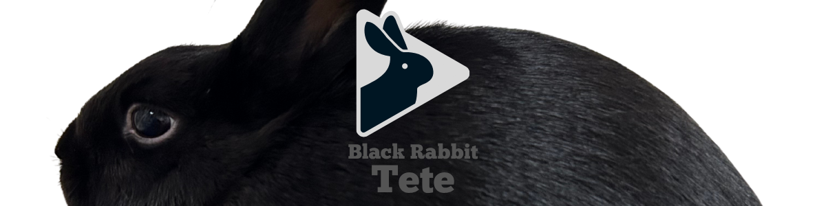 ててちゃんうさぎブログ